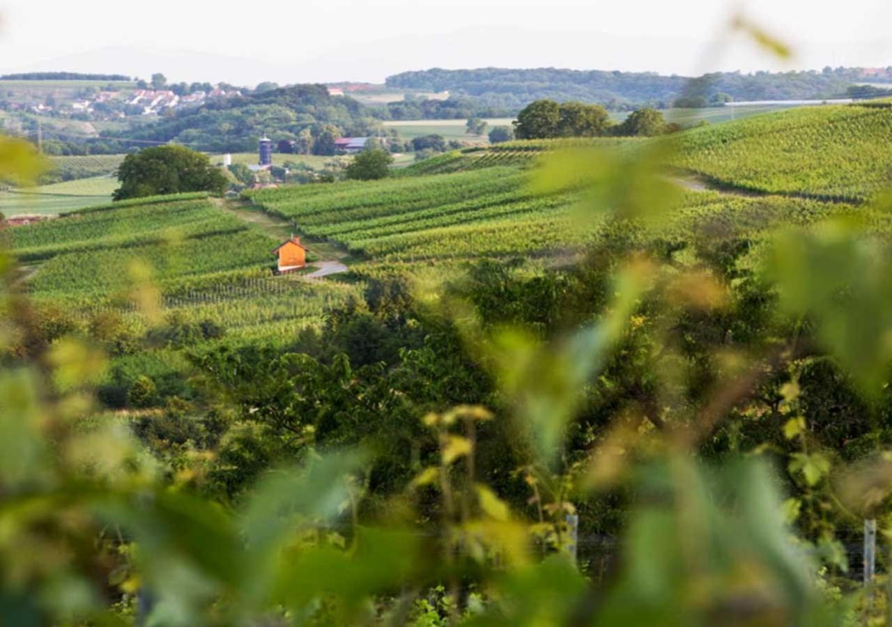 Hotel & Restaurant Tanne Fischingen Kültér fotó